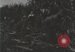 Image of activities of people New Orleans Louisiana USA, 1923, second 24 stock footage video 65675067372
