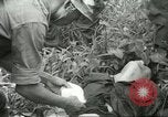 Standbild alliierten Truppen Mekong Delta Vietnam, 1967, aus Sekunde 35 historischem Filmmaterial Videoclip 65675067379