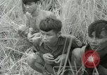 Standbild alliierten Truppen Mekong Delta Vietnam, 1967, aus Sekunde 37 historischem Filmmaterial Videoclip 65675067379
