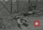 Standbild alliierten Truppen Mekong Delta Vietnam, 1967, aus Sekunde 41 historischem Filmmaterial Videoclip 65675067379