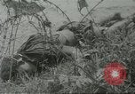 Standbild alliierten Truppen Mekong Delta Vietnam, 1967, aus Sekunde 43 historischem Filmmaterial Videoclip 65675067379