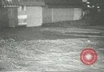 Image Typhoon Billie Kobe au Japon, 1967, de la seconde 10 séquences d'archives historiques vidéo 65675067388