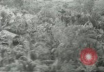 Standbild 334 Bewaffnete Hubschrauber Unternehmen Vietnam, 1967, aus Sekunde 44 historischem Filmmaterial Videoclip 65675067389