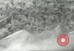 Standbild 334 Bewaffnete Hubschrauber Unternehmen Vietnam, 1967, aus Sekunde 45 historischem Filmmaterial Videoclip 65675067389
