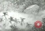 Standbild 334 Bewaffnete Hubschrauber Unternehmen Vietnam, 1967, aus Sekunde 46 historischem Filmmaterial Videoclip 65675067389