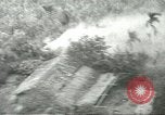 Standbild 334 Bewaffnete Hubschrauber Unternehmen Vietnam, 1967, aus Sekunde 47 historischem Filmmaterial Videoclip 65675067389
