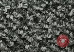 Image of All Star Baseball game Anaheim California United States USA, 1967, second 6 stock footage video 65675067391