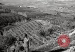 Image of Guide with visitors at a farm Morocco North Africa, 1942, second 5 stock footage video 65675067421