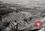 Image of Guide with visitors at a farm Morocco North Africa, 1942, second 6 stock footage video 65675067421