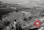 Image of Guide with visitors at a farm Morocco North Africa, 1942, second 7 stock footage video 65675067421