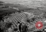 Image of Guide with visitors at a farm Morocco North Africa, 1942, second 8 stock footage video 65675067421