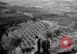 Image of Guide with visitors at a farm Morocco North Africa, 1942, second 9 stock footage video 65675067421