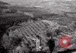 Image of Guide with visitors at a farm Morocco North Africa, 1942, second 10 stock footage video 65675067421