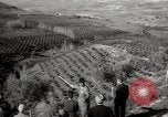Image of Guide with visitors at a farm Morocco North Africa, 1942, second 11 stock footage video 65675067421