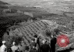 Image of Guide with visitors at a farm Morocco North Africa, 1942, second 12 stock footage video 65675067421