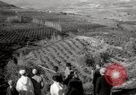 Image of Guide with visitors at a farm Morocco North Africa, 1942, second 15 stock footage video 65675067421