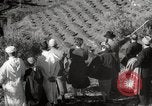 Image of Guide with visitors at a farm Morocco North Africa, 1942, second 25 stock footage video 65675067421