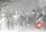 Image of Guide with visitors at a farm Morocco North Africa, 1942, second 36 stock footage video 65675067421