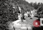 Image of Women and girls picking fruit in an orchard Morocco North Africa, 1942, second 1 stock footage video 65675067422