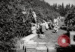 Image of Women and girls picking fruit in an orchard Morocco North Africa, 1942, second 3 stock footage video 65675067422