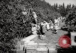 Image of Women and girls picking fruit in an orchard Morocco North Africa, 1942, second 4 stock footage video 65675067422