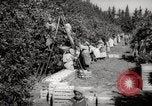 Image of Women and girls picking fruit in an orchard Morocco North Africa, 1942, second 14 stock footage video 65675067422
