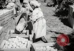 Image of Women and girls picking fruit in an orchard Morocco North Africa, 1942, second 41 stock footage video 65675067422