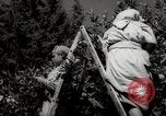 Image of Women and girls picking fruit in an orchard Morocco North Africa, 1942, second 47 stock footage video 65675067422