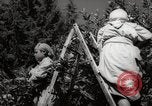 Image of Women and girls picking fruit in an orchard Morocco North Africa, 1942, second 51 stock footage video 65675067422