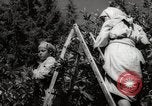 Image of Women and girls picking fruit in an orchard Morocco North Africa, 1942, second 52 stock footage video 65675067422