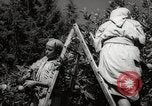 Image of Women and girls picking fruit in an orchard Morocco North Africa, 1942, second 54 stock footage video 65675067422