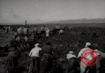 Image of Tilling the soil by machine and by animal Morocco North Africa, 1942, second 1 stock footage video 65675067423