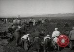 Image of Tilling the soil by machine and by animal Morocco North Africa, 1942, second 3 stock footage video 65675067423