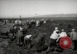 Image of Tilling the soil by machine and by animal Morocco North Africa, 1942, second 5 stock footage video 65675067423