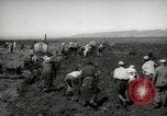 Image of Tilling the soil by machine and by animal Morocco North Africa, 1942, second 8 stock footage video 65675067423