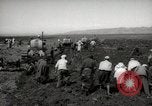 Image of Tilling the soil by machine and by animal Morocco North Africa, 1942, second 9 stock footage video 65675067423