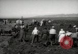 Image of Tilling the soil by machine and by animal Morocco North Africa, 1942, second 10 stock footage video 65675067423