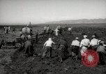 Image of Tilling the soil by machine and by animal Morocco North Africa, 1942, second 11 stock footage video 65675067423
