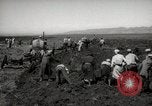 Image of Tilling the soil by machine and by animal Morocco North Africa, 1942, second 12 stock footage video 65675067423