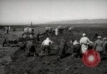 Image of Tilling the soil by machine and by animal Morocco North Africa, 1942, second 14 stock footage video 65675067423