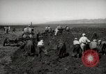 Image of Tilling the soil by machine and by animal Morocco North Africa, 1942, second 15 stock footage video 65675067423