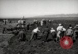 Image of Tilling the soil by machine and by animal Morocco North Africa, 1942, second 16 stock footage video 65675067423