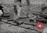 Image of Tilling the soil by machine and by animal Morocco North Africa, 1942, second 26 stock footage video 65675067423