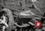 Image of Tilling the soil by machine and by animal Morocco North Africa, 1942, second 30 stock footage video 65675067423