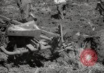 Image of Tilling the soil by machine and by animal Morocco North Africa, 1942, second 32 stock footage video 65675067423