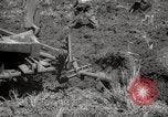 Image of Tilling the soil by machine and by animal Morocco North Africa, 1942, second 33 stock footage video 65675067423