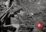Image of Tilling the soil by machine and by animal Morocco North Africa, 1942, second 39 stock footage video 65675067423