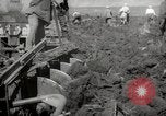 Image of Tilling the soil by machine and by animal Morocco North Africa, 1942, second 40 stock footage video 65675067423