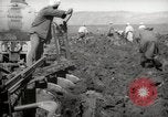 Image of Tilling the soil by machine and by animal Morocco North Africa, 1942, second 42 stock footage video 65675067423
