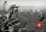 Image of Tilling the soil by machine and by animal Morocco North Africa, 1942, second 43 stock footage video 65675067423